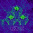 Peyote People - Intoxica