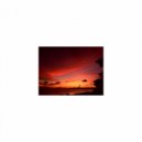 Mindfulness Healing Sleep BGM Project - Amino Acid & Positive Thinking