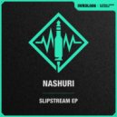 NASHURI - Hail To Reason (Original Mix)