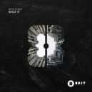 Nick Curly - What If