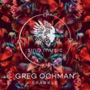 Greg Ochman - Secrets Of Amber (Original Mix)