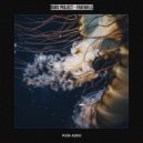 Dubs Project - Farewell