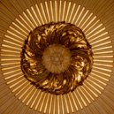 elisabethia - find me by the waterfall