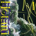 Hommarju - Hotaru (Daniel Seven Remix)