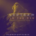 Lectraw - In the den