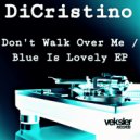 DiCristino - Don\'t Walk Over Me (Brooklyn House Mix)