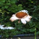 Dirty Lee - Madam (Original Mix)