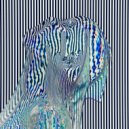 Whitesquare - Lady Cherry