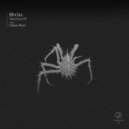 Bhrisc - Control Is An Illusion (Original Mix)