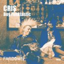 Boy Funktastic - Cris (Original Mix)