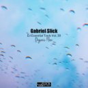 Gabriel Slick - Organic Tool 1 Bass 02 (DJ Tool)