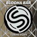 Buddha-Bar chillout - Sympathy ()