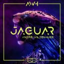 Andre Wildenhues - Jaguar