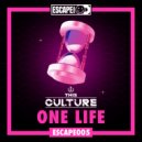 This Culture - One Life (Original Mix)