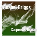 Anabel Briggs - Carpenter Grub (Radio Edit)