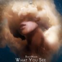 BackHaze - What You See