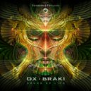 DX & Braki - Sound Of Life (Original Mix)