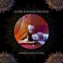 Soire, Ayman Nageeb - Harem (Night Mix)