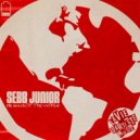 Sebb Junior - The Same (Original Mix)
