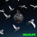 Flaunt - WILDLIFE