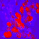 Vini Pistori - Bed Stories