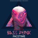 Bass Punk - FaceTime (Original Mix)