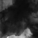 Poladroïd - The Numinous Way
