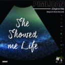 Pimlican - She Showed Me Life
