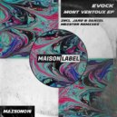 Evock - Mont Ventoux (JARD Remix)