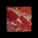 Nicolas Bougaïeff - Saccade 1