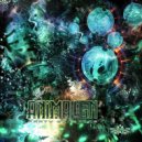 Animalien - Funk Phase