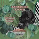 Atsushi Yano - Humming Bird