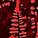 Casino Times - Display End Sequence