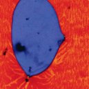 Jesse Futerman - You Are Never Alone