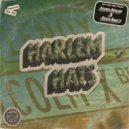 Felipe Avelar & Disco Ball\'z - HarlemHats (Original Mix)