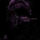 Carara - Magnetic Field