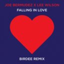 Joe Bermudez  &  Lee Wilson  - Falling In Love (Birdee Remix)