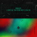 Brize - Check Motherfucker (Original Mix)