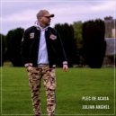 Julian Anghel - Plec de acasa