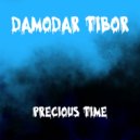 Damodar Tibor - Precious Time (Radio Edit)