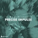 Raw Siqnal - Precise Impulse (Original Mix)
