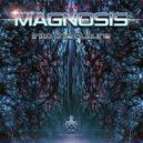 Magnosis - Splitter