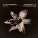 Niko Adriatti - My Experience (Original Mix)