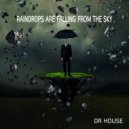 Dr. House - Raindrops Are Falling From The Sky (Original Mix)