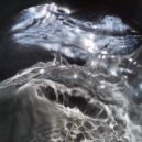 Sueños de Pájaros - Vuelo del Chucao (Original Mix)