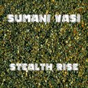 Sumani Vasi - Stealth Rise (Radio Edit)