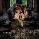 Luna Maye - Invocation Of The Forest (Original Mix)