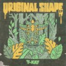 T-Kay - Original Shape