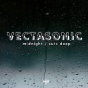 Vectasonic - Cuts Deep (Original Mix)