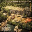 Dynamic Void, Supergroover - Fire (Ethica Remix)